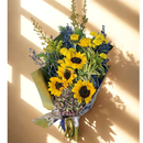 Buque de Girassóis Campos de Van Gogh