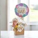 Presente Welcome Baby Rose com Pelúcia