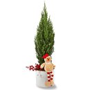 Pinheirinho Natalino em Vaso Decorado
