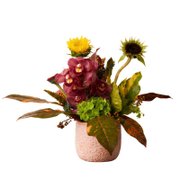 Arranjo com Orquídea Cymbidium  Mata Solar