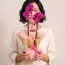 Orquídea Phalaenopsis Pink em Embalagem Presenteável