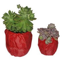 Conjunto Cachepô Amassado