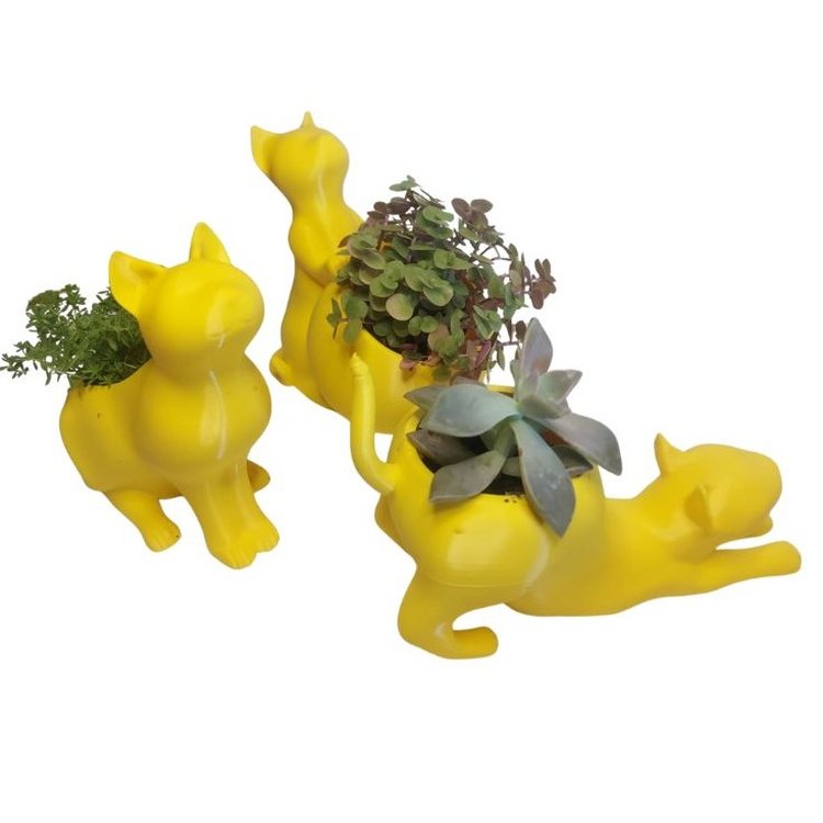 Trio Gatinhos Suculenta