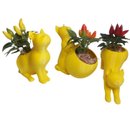 Trio Gatinhos Pimentas