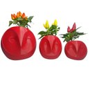 Trio Corujas Pimentas