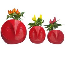 Trio Corujas Pimentas