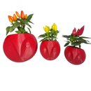 Trio Corujas Pimentas