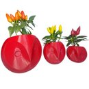 Trio Corujas Pimentas