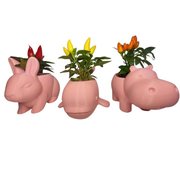 Trio Fofura Pimentas