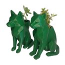 Dupla Caçadora Suculenta