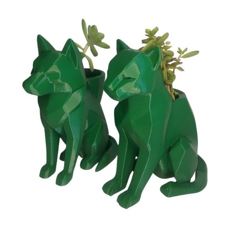 Dupla Caçadora Suculenta