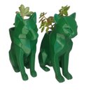 Dupla Caçadora Suculenta