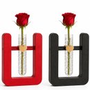 Dueto da Rosa Vermelho e Preto