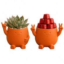 Cachepot Hang Loose