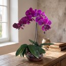 Arranjo de Orquidea Roxa 2 Hastes