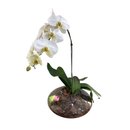 Arranjo De Orquídea Cascata Branca