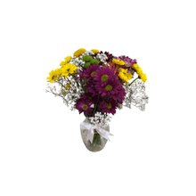 Mix de Flores do Campo 