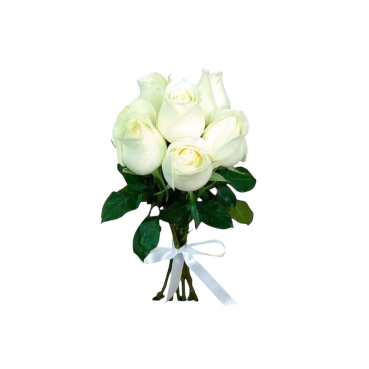 6 Rosas Brancas