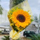 Lindo Arranjo  Único Amor