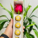 Rosa com Chocolates