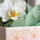 Belíssima Mini Orquídea Branca 