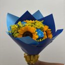 Belissimo Buque Van Gogh