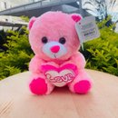 Ursinho de Pelucia Love