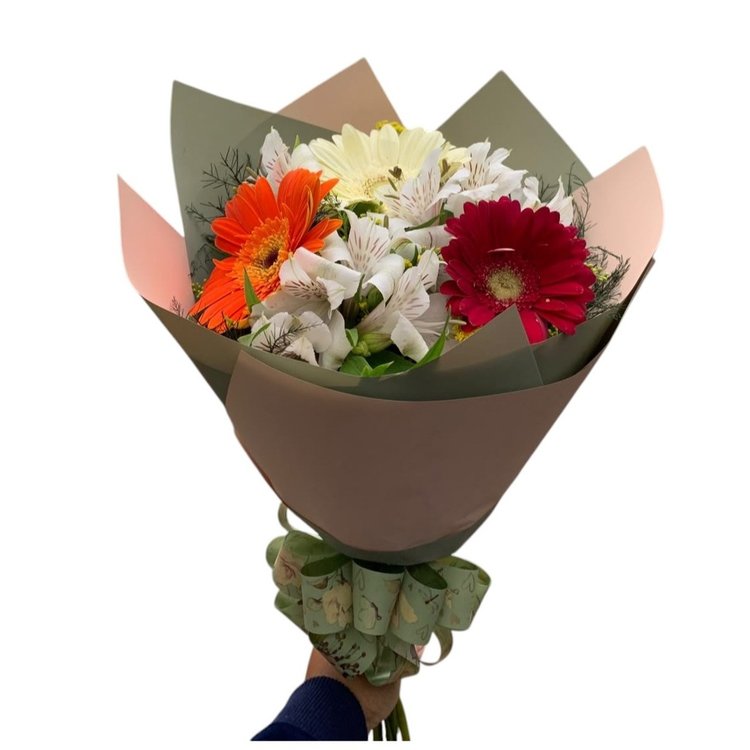 PRIMAVERA DE GERBERAS