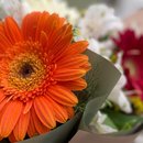 PRIMAVERA DE GERBERAS