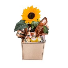 Box Girassol com Ferrero 