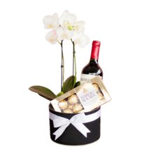 Box de Orquídea Excelence