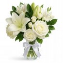 Campo Branco no Vaso