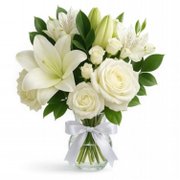 Campo Branco no Vaso