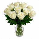 Doze Brancas no Vaso	