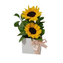 Arranjo Duo Girassól