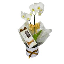 Box Orquídea Branca com Amandita