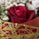 Buquê Luxo Rosas Vermelhas