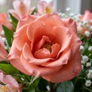 Buquê de Rosas Salmão