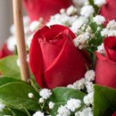 Cesta de Rosas Paixão