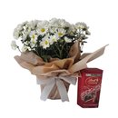 Margarida com Lindt
