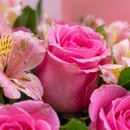 Buquê de 12 Rosas Pink com Astromélias 
