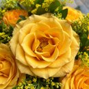 Buquê de 12 Rosas Nacionais Amarelas