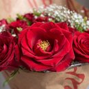 Buquê de 24 Rosas Nacionais Vermelhas