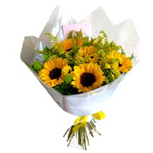 Buquê de 6 Girassóis Especial 