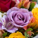 Buquê de 12 Rosas Coloridas com Astromélias 