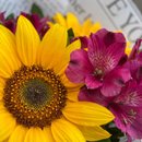 Buquê de Girassóis com Astromélilas 