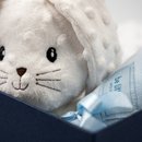 Kit Meu Primeiro Amiguinho Azul