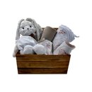 Kit Presente Carinho Coelhinho