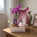 Orquídea com Naninha