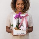 Orquídea com Naninha